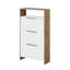 Shoe Storage Cabinet-1421717643