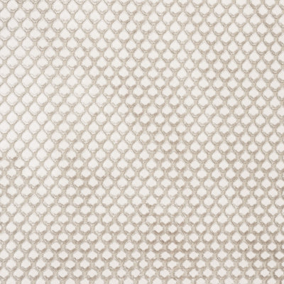 Sussex Yana Velvet Fabric