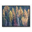 Autumn Tamarack Forest Print by Bruce Heinemann-103000586-65858866-65780528