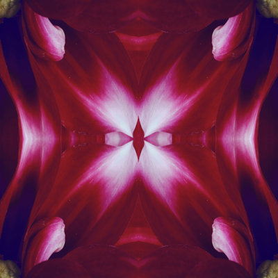 Rubis kaléidoscope