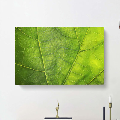 Veins Of A Leaf - Wrapped Canvas