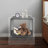 2 Tiers Acrylic Bedside Table With Open Storage Shelf-188515695
