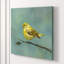 Baby Bird II Painting by Beverly Fuller-26928965-26928962