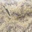 Tapis à poil long gris treillis Griego-1295641873
