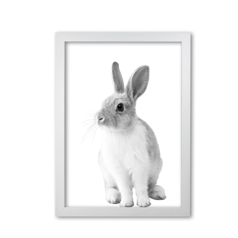 Bunny - Print, White Grain Frame, 42 cm H x 30 cm W x 5 cm D