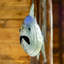 60" Long Large Hanging Fish 2-Piece Wall Décor with Welcome Sign