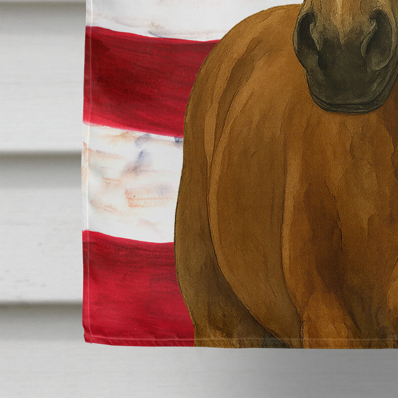 Drapeau de la maison de cheval Bay Warmblood, Taille de la maison, Cheval - sang chaud hollandais - baie