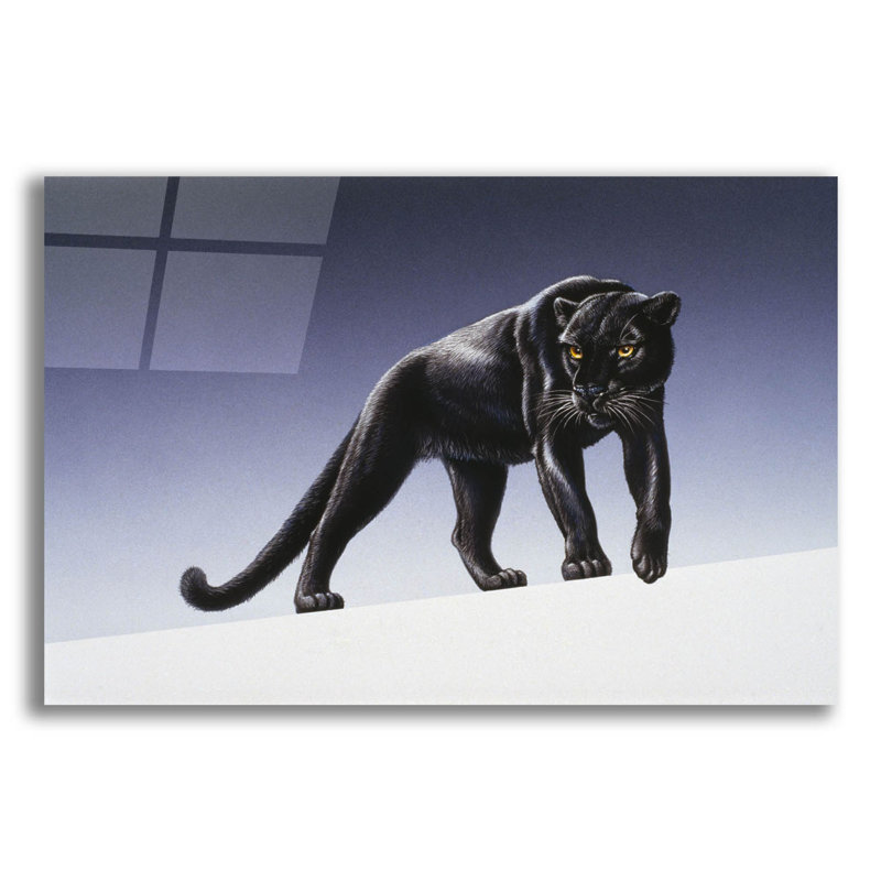 Latitude Run® 'Black Panther' By Harro Maass, Acrylic Glass Wall Art, H 12 po x l 16 po x P 0,2 po