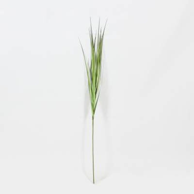 Bourre de vase herbe Rudi