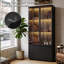 170cm Black Display Cabinet with Aluminium-Framed Glass Doors & LED Lighting