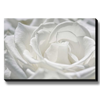 Dina Marie - Wrapped Canvas Print