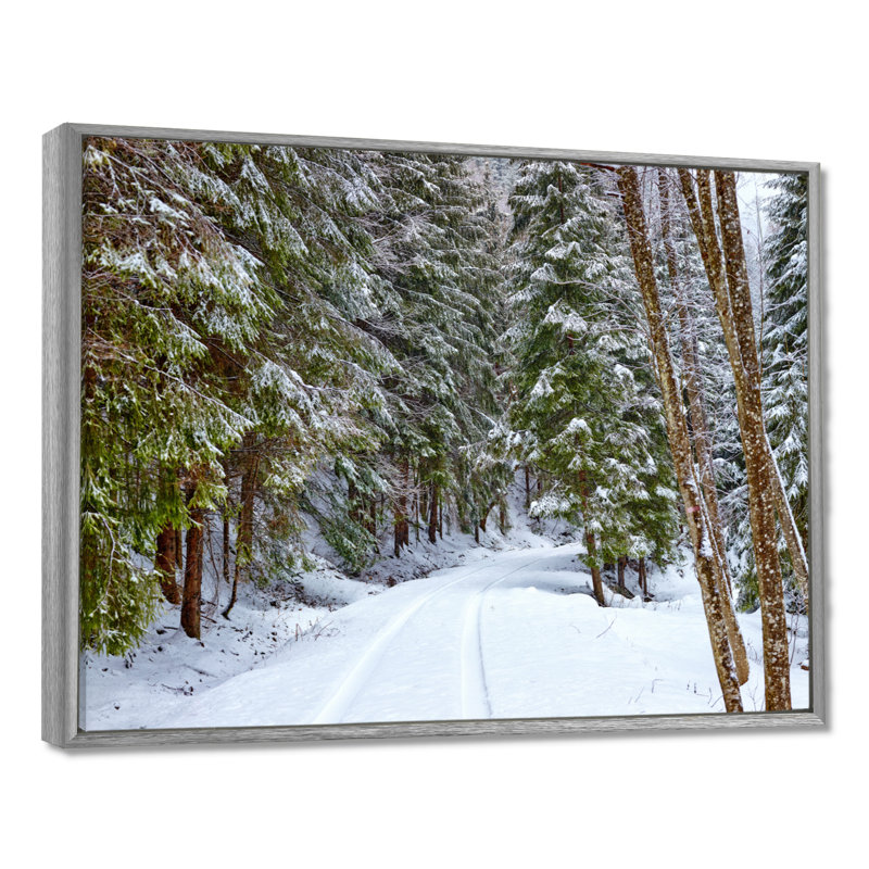 «Winter Forest», reproduction d'art sur toile, route enneigée dans la forêt, H 30 po x l 40 po, Cadre flottant, Argent