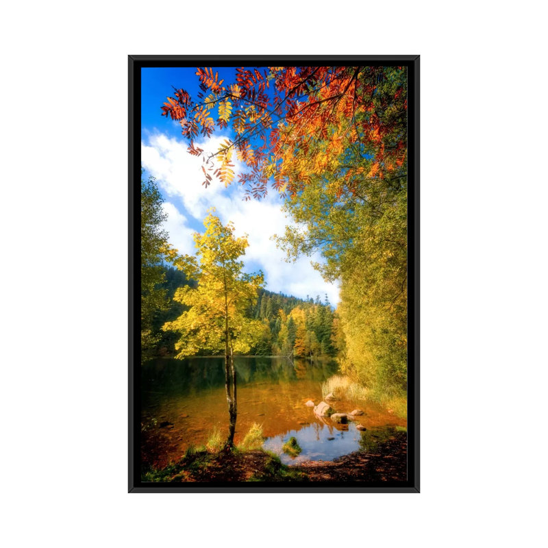 Fall Framing by Philippe Sainte-Laudy - Print on Canvas, 101.6 cm H x 66.04 cm W, Black Framed