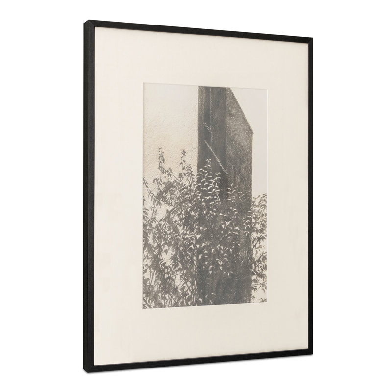 Hernan 2 Framed Print