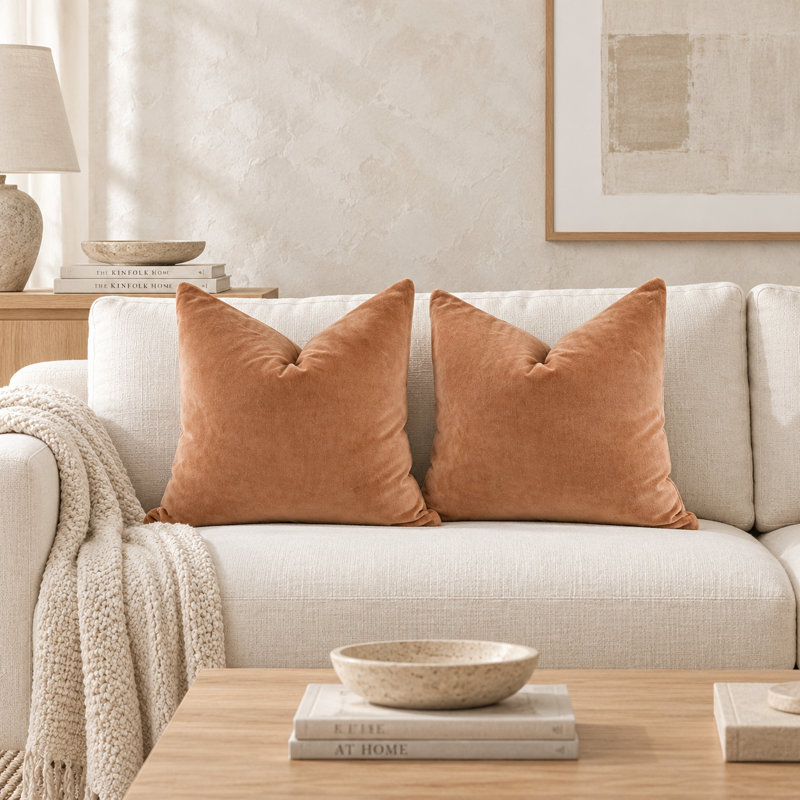 Ensemble de housses de coussins décoratifs en velours double face marron de 20 pouces, Brun, Carré 20 po