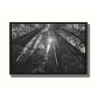 " Among Giants " by Scott Barlow