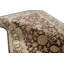 Wool Oriental Area Rug