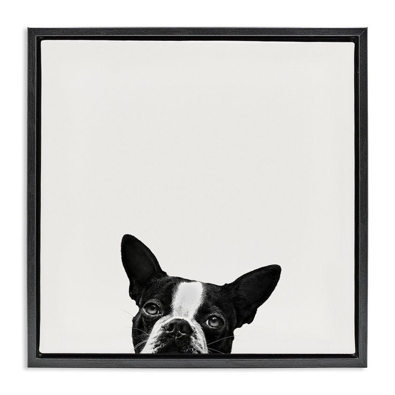 «Dog Peeking From Under Floater», art mural sur toile par Jon Bertelli pwp-207, H 18 po x l 18 po