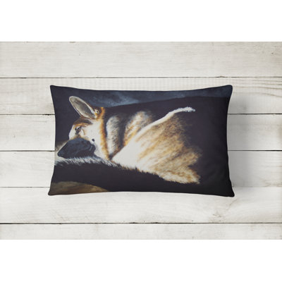 Outdoor Throw Pillow