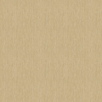 Praveen 10.05m x 53cm Matte Double Roll