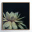 «Succulent 8» par Emiko et Mark Franzen, reproduction d'art sur toile encadrée-530826228-474696414