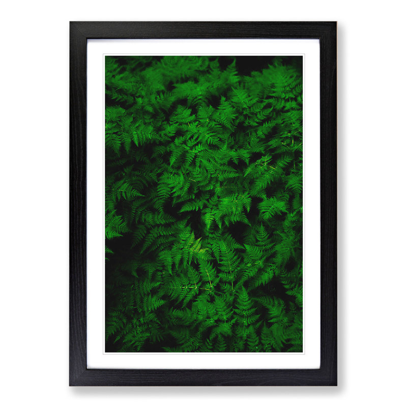 Fern Leaves Vol.3 - Framed Print, 36cm H x 27cm W x 2cm D, Black Framed