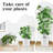 Trellis For Climbing Plants Indoor 4 Pack, Rustpro...