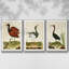 Heron Portrait IV, ensemble de 3 toiles encadrées-97792415-97792418