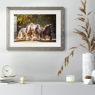 Sunlit Horses III - Art mural mural mat et encadré sous verre acrylique, grand salon