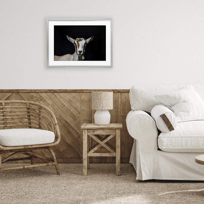 «Goat Face over Black», reproduction encadrée sous verre, design par Amy Carroll, H 14 po x l 20 po, Cadre de ferme gris
