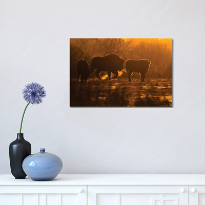 Bison 1 Piece Wrapped Canvas Wall Art