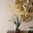 Spider Orchid In Glass Vase