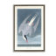 Toile flottante classique avec sterne arctique par one1000paintings-1817895672-1822236695