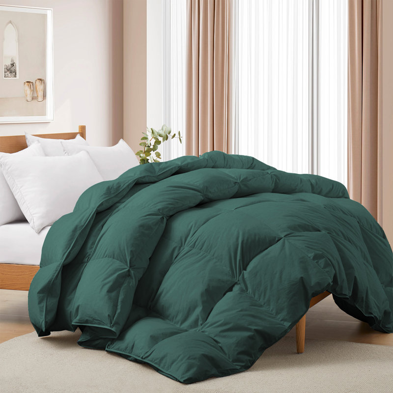 Twin Green Cotton Down Comforter with 600 Fill Power