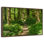 Hoh Rainforest Path