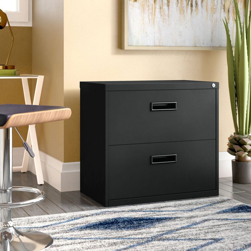 Balog 30'' Wide 2 -Drawer File Cabinet, Black