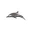 Animals Dolphin Wall Décor