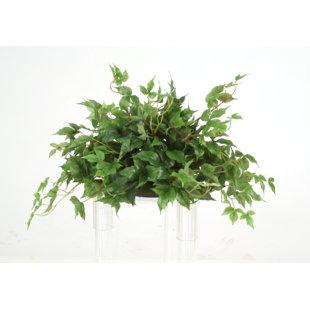 Table de bureau en pot à fleurs en érable ivy (Ensemble de 2)