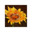 Flor Urbana I Painting by Sofia Fox-26937074-26937075
