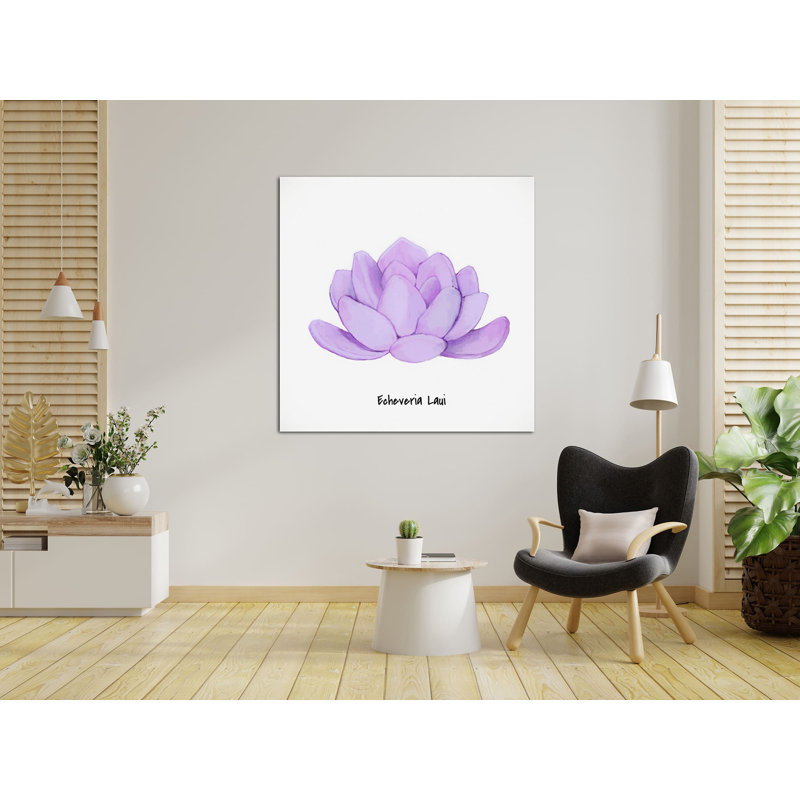 Echeveria Spruce Oliver - reproduction sur toile tendue, H 48 po x l 48 po x P 1,5 po