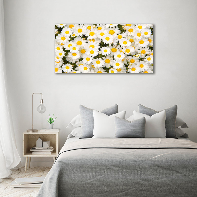Daisies - Wrapped Canvas Print