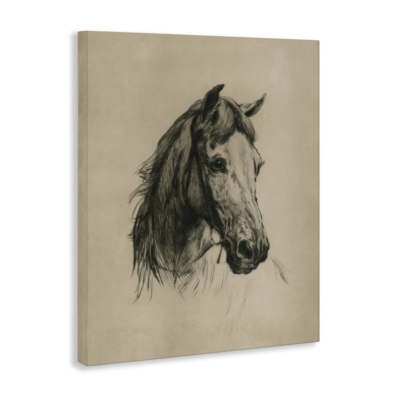«Charcoal Horse Portrait», art mural par Arlington Prints, H 16 po x l 20 po