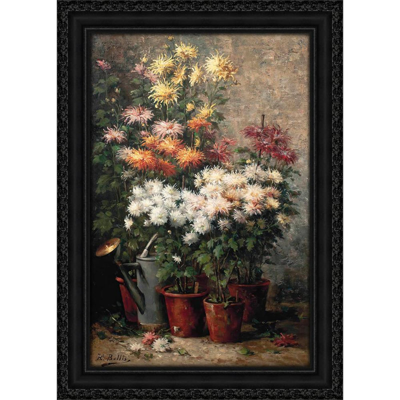 Chrysanthemums