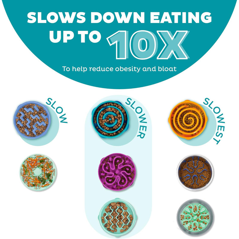 Slow Feeder