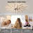 Hanke 44.9'' Dimmable Reversible Ceiling Fan With LED Lights And Remote Control-504058244