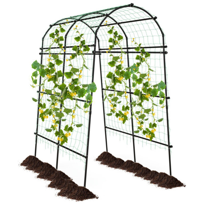 Louay 90'' H x 63'' W Metal,Plastic Arched Trellis