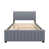 Gris