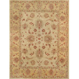 Oriental Area Rug in Beige