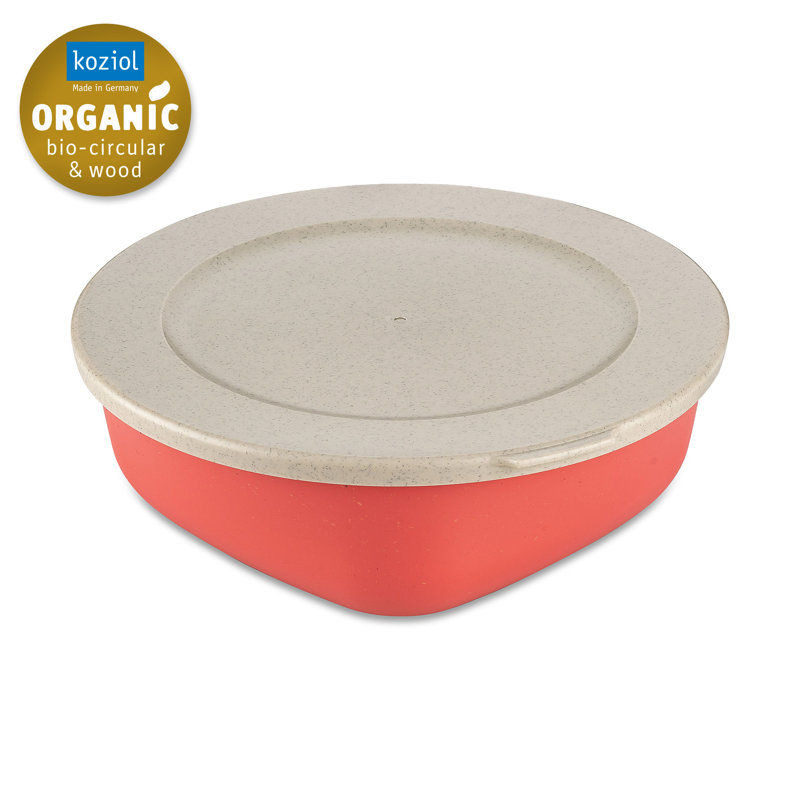 CONNECT 45.7ml Food Storage Container, Coral