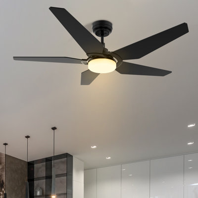 Ventilateur de plafond intelligent 52 po avec télécommande, ensemble d'éclairage inclus, fonctionne avec l'assistant Google et Amazon Alexa, raccourci Siri.